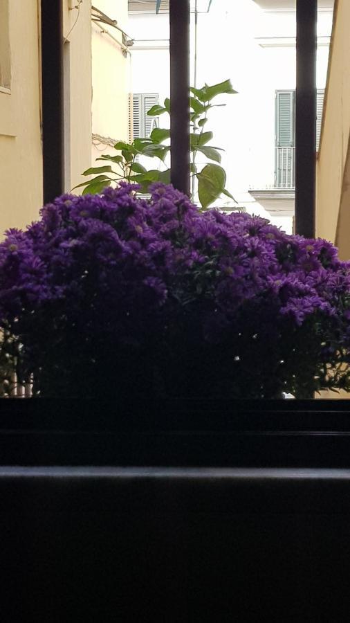 斯卡法蒂Il Giardino Sul Corso公寓 外观 照片