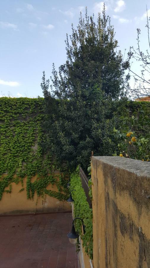 斯卡法蒂Il Giardino Sul Corso公寓 外观 照片