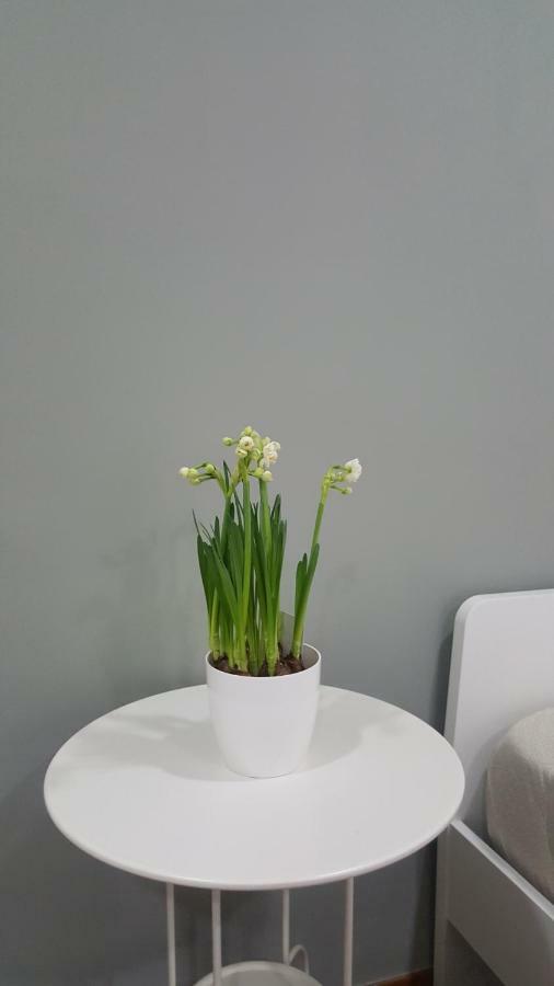 斯卡法蒂Il Giardino Sul Corso公寓 外观 照片